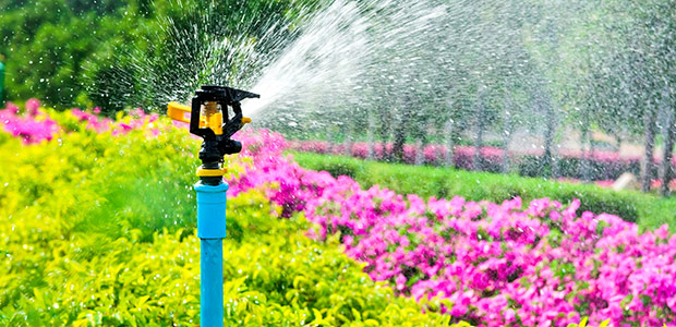 Garden Irrigation - Water Properly